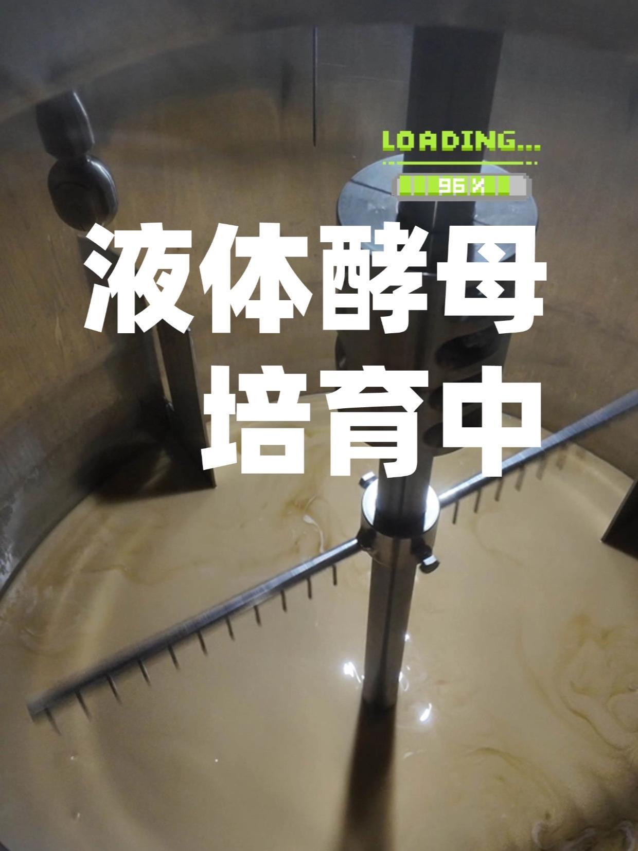 液體酵母擴(kuò)培實(shí)拍 精釀啤酒釀造的活力之源